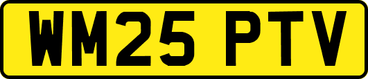 WM25PTV