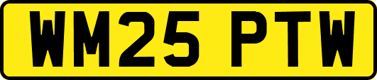 WM25PTW