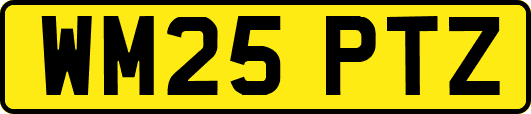 WM25PTZ