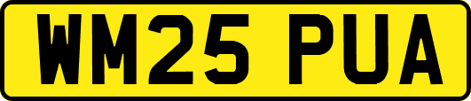 WM25PUA