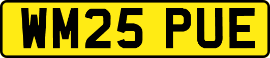 WM25PUE