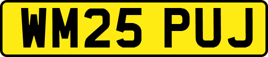 WM25PUJ