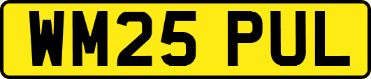 WM25PUL
