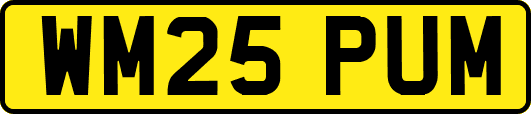 WM25PUM