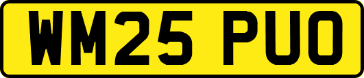 WM25PUO