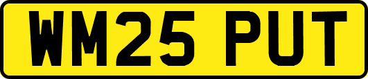 WM25PUT
