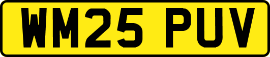 WM25PUV