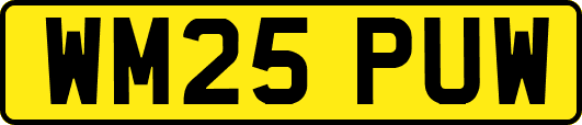 WM25PUW