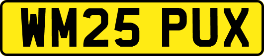 WM25PUX