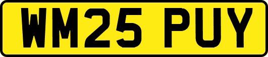 WM25PUY