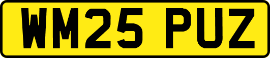 WM25PUZ