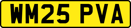 WM25PVA