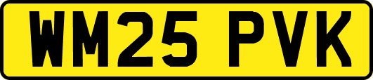 WM25PVK