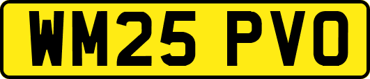 WM25PVO