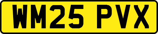 WM25PVX