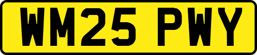 WM25PWY