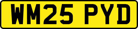 WM25PYD