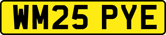 WM25PYE
