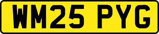 WM25PYG