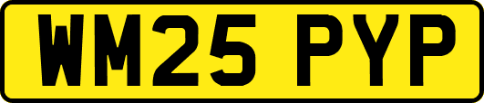 WM25PYP