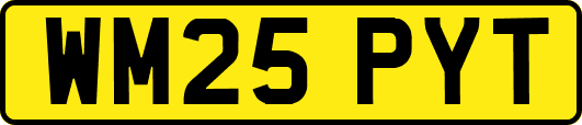 WM25PYT