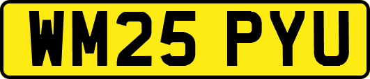WM25PYU