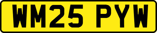 WM25PYW