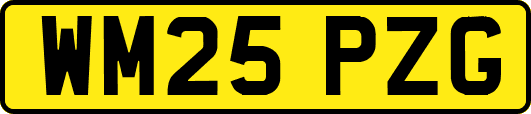 WM25PZG