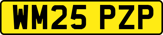 WM25PZP