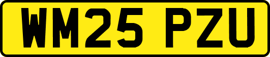 WM25PZU