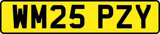 WM25PZY