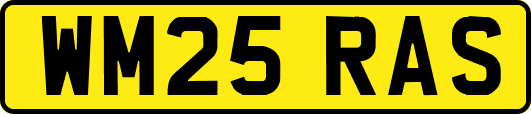 WM25RAS