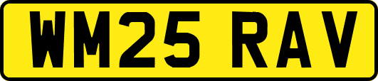 WM25RAV