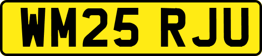 WM25RJU