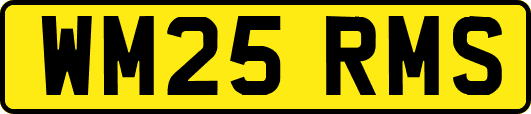 WM25RMS