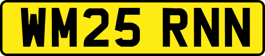 WM25RNN