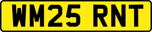 WM25RNT