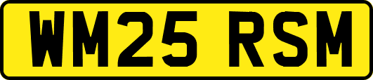 WM25RSM