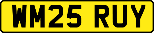 WM25RUY