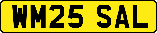 WM25SAL