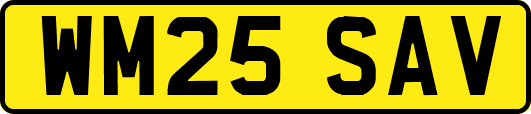 WM25SAV