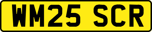 WM25SCR