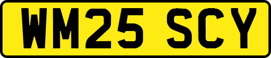 WM25SCY