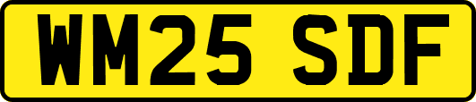 WM25SDF