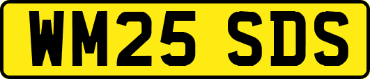 WM25SDS