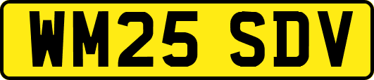 WM25SDV