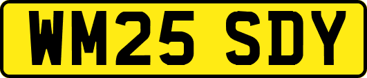 WM25SDY