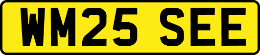 WM25SEE