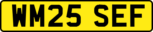 WM25SEF