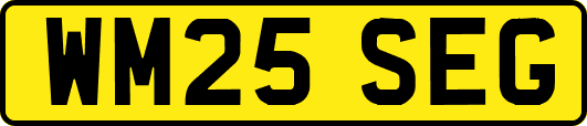 WM25SEG